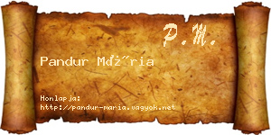 Pandur Mária névjegykártya