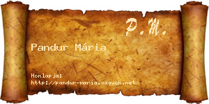 Pandur Mária névjegykártya